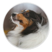 Shelty セラミックノブ (正面)