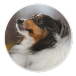 Shelty セラミックノブ