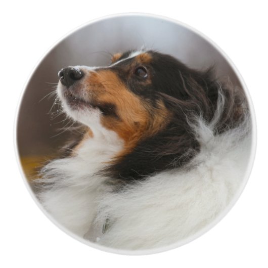 Shelty セラミックノブ (正面)