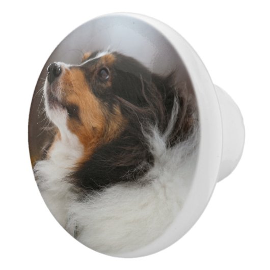 Shelty セラミックノブ (右)