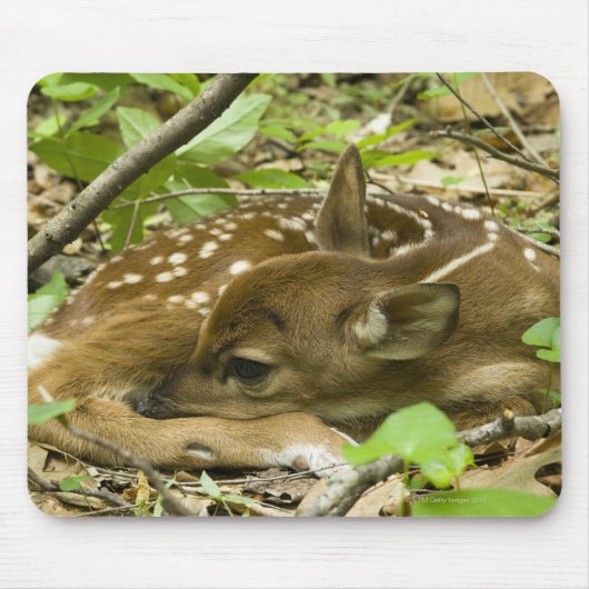 Shenandoah NP、バージニア州、米国 マウスパッド (正面)