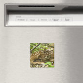 Shenandoah NP、バージニア州、米国 マグネット (インサイチュ (食洗機))