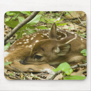 Shenandoah NP、ヴァージニア、米国 マウスパッド