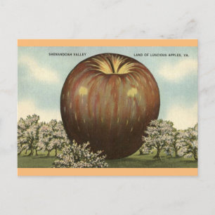 Shenandoah Valley, Virginia Giant Appleポストカード ポストカード