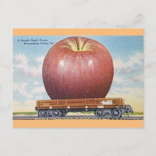 Shenandoah Valley, Virginia Giant Appleポストカード ポストカード