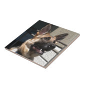 Shep タイル (側面)