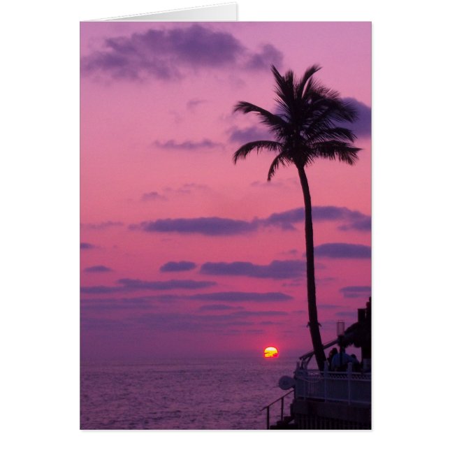 Shephardsの日没、Clearwater、Fl. (正面)