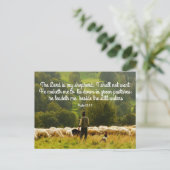 Shepherd and his sheep flock ポストカード (スタンド正面)