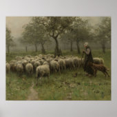 Shepherdess with a Flock of Sheep, Anton Mauve ポスター (正面)