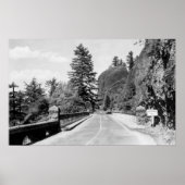 Shepherd's Dell on Columbia River写真2 ポスター (正面)