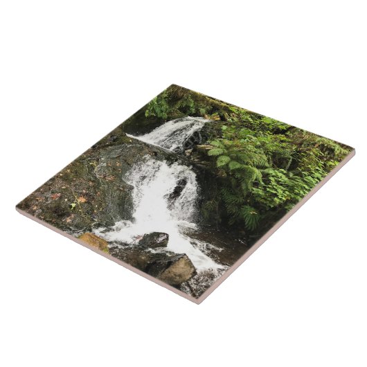 ShepperdのDell滝、または タイル (側面)