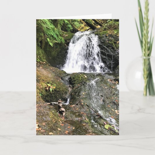 Shepperd's Dell滝（オレゴン） カード (正面)