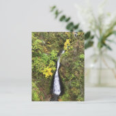 Shepperd's Dell秋、Columbia River Gorge、または ポストカード (スタンド正面)
