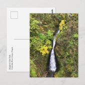 Shepperd's Dell秋、Columbia River Gorge、または ポストカード (正面/裏面)