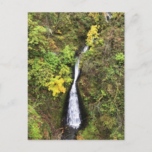 Shepperd's Dell秋、Columbia River Gorge、または ポストカード (正面)