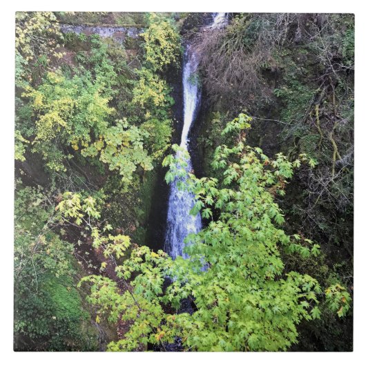 Shepperd's Dell Falls, OR タイル (正面)