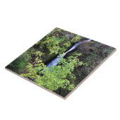 Shepperd's Dell Falls, OR タイル (側面)