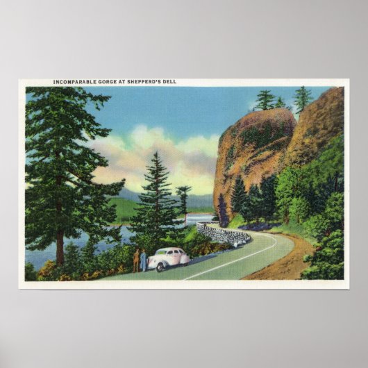 Shepperd's Dell View of Incomparable Gorge ポスター (正面)