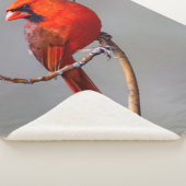 Sherpaの北の基本的なフリースブランケット シェルパブランケット (3/4)