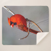 Sherpaの北の基本的なフリースブランケット シェルパブランケット (正面(横))