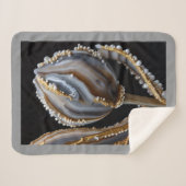 sherpa Blanket シェルパブランケット (正面(横))