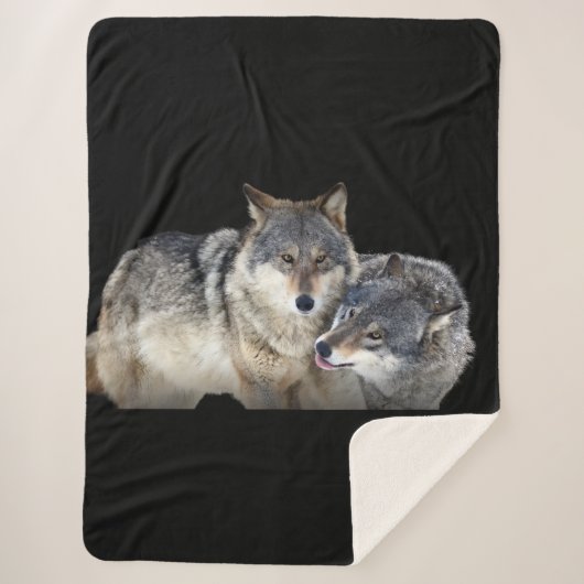 Sherpa Blanket シェルパブランケット (正面)