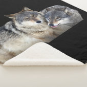 Sherpa Blanket シェルパブランケット (3/4)