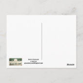Sherrif & Deputies Postcard ポストカード (裏面)