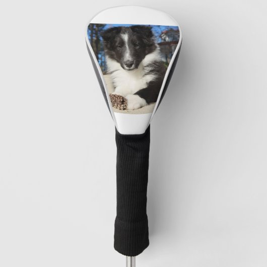 shet shp黒と白の子犬 ゴルフヘッドカバー (正面)