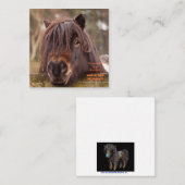 Shetlandノートカードが所有 ノートカード (正面/裏面)