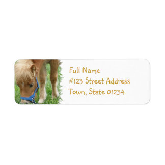Shetland Pony宛名ラベル ラベル