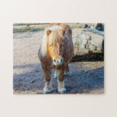 Shetland Pony Jigsaw puzzle ジグソーパズル (横)