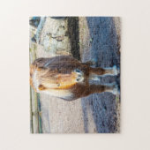 Shetland Pony Jigsaw puzzle ジグソーパズル (縦)