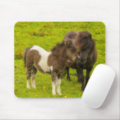 Shetland Pony Mother and Offspring マウスパッド (マウス)