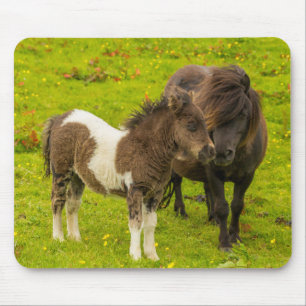 Shetland Pony Mother and Offspring マウスパッド