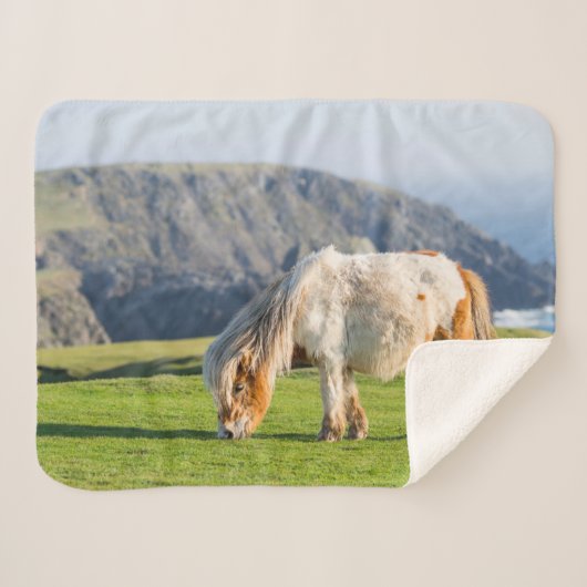 Shetland Pony on Pasture Near High Cliffs シェルパブランケット (正面(横))