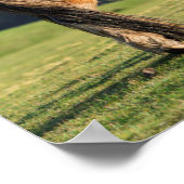 Shetland Pony On Pasture Near High Cliffs ポスター (角)