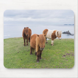 Shetland Pony on Pasture Near High Cliffs マウスパッド