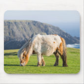 Shetland Pony on Pasture Near High Cliffs マウスパッド (正面)