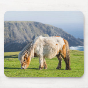 Shetland Pony on Pasture Near High Cliffs マウスパッド