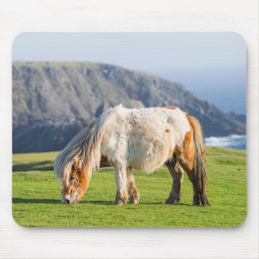 Shetland Pony on Pasture Near High Cliffs マウスパッド (正面)