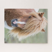 Shetland Pony on the Island of Unst ジグソーパズル (横)