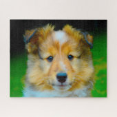 Shetland Sheep Dog Jigsaw. ジグソーパズル (横)