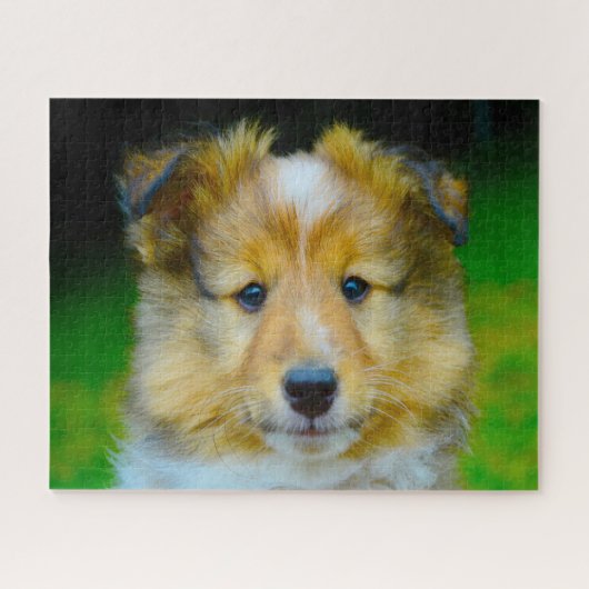 Shetland Sheep Dog Jigsaw. ジグソーパズル (横)