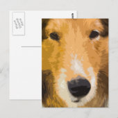 Shetland Sheepdogクローズアップ葉書 ポストカード (正面/裏面)