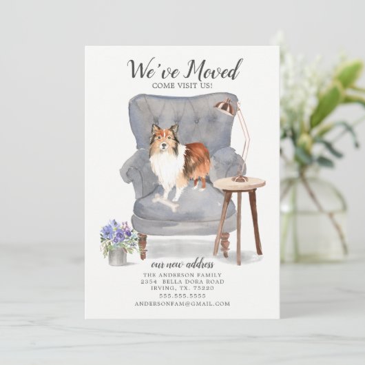 Shetland Sheepdog引っ越しました移動発表 案内状 (スタンド正面)