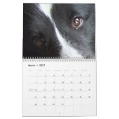 Shetland Sheepdog カレンダー (3月 2027)