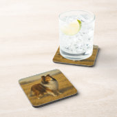 Shetland Sheepdog コースター (右側)