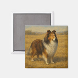 Shetland Sheepdog マグネット