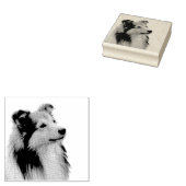 Shetland Sheepdog ラバースタンプ (押印)